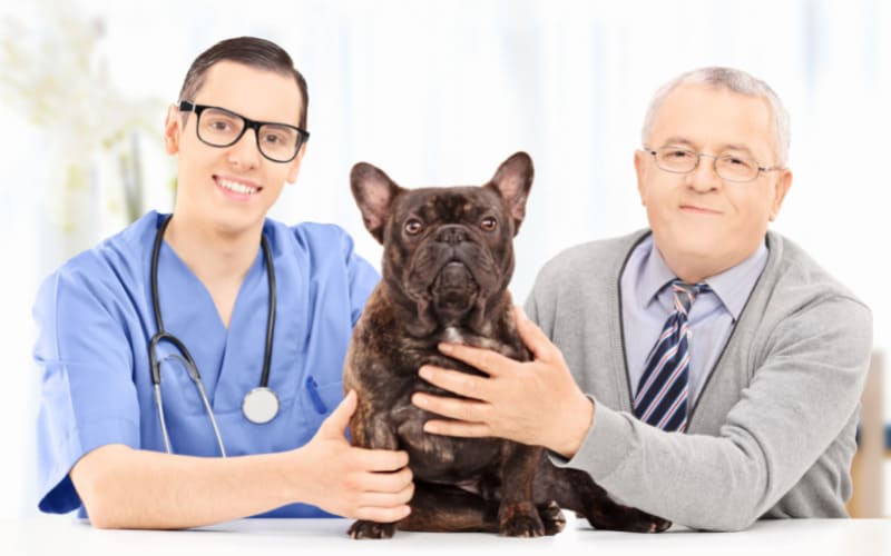 Best Community Building Steps And Proceedures For Veterinary Practices